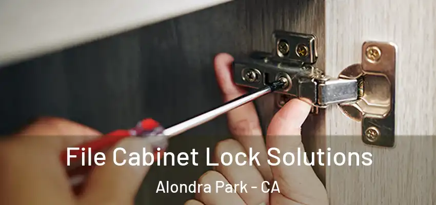  File Cabinet Lock Solutions Alondra Park - CA